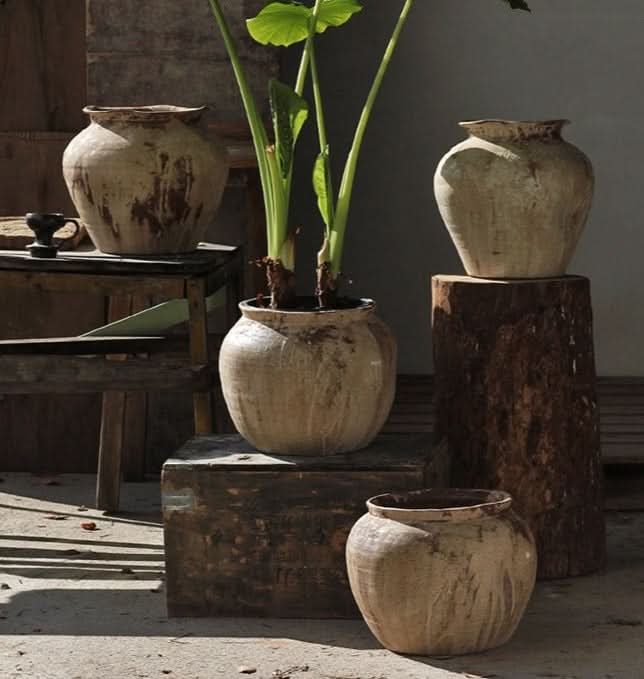 Earthenware Handmade Ceramic Vases with rustic finish, a plant, and vintage decor elements.