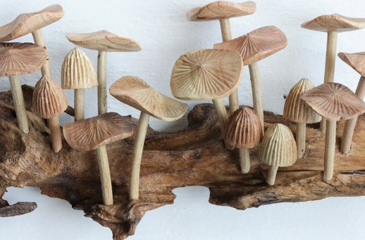 Wooden Mushroom Wall Hanging Sculpture on driftwood. Natural wood tones.