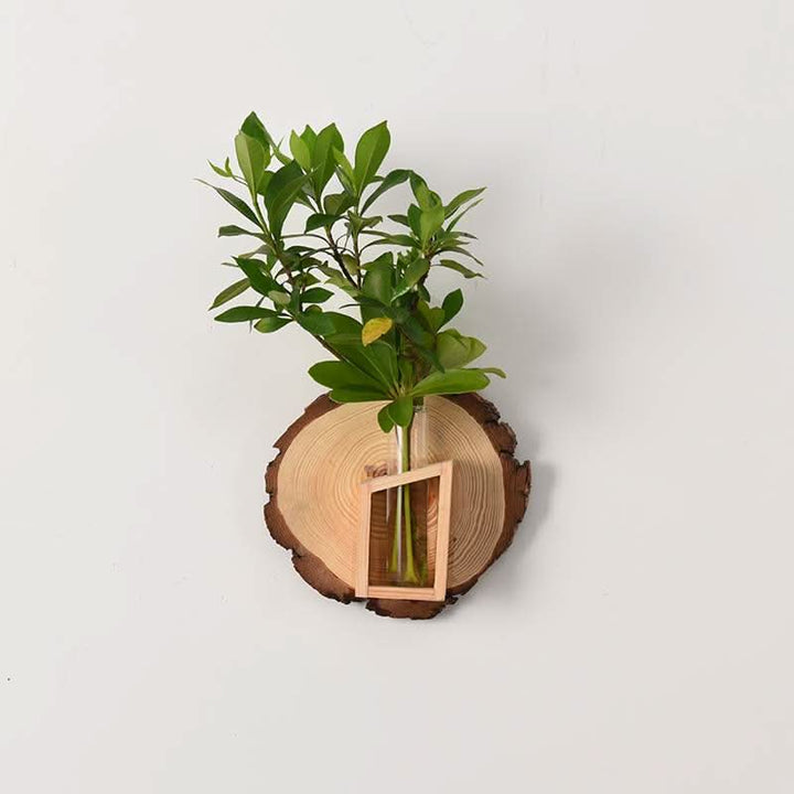 Natural wood slice Wall Plant Hanger Tree Ring with glass vase and green plant.