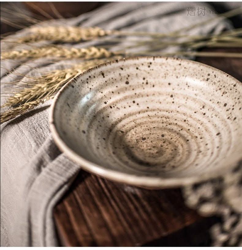 Japanese-style handmade rough pottery half-glazed tableware set retro wind dish set bowl dish home double set - -