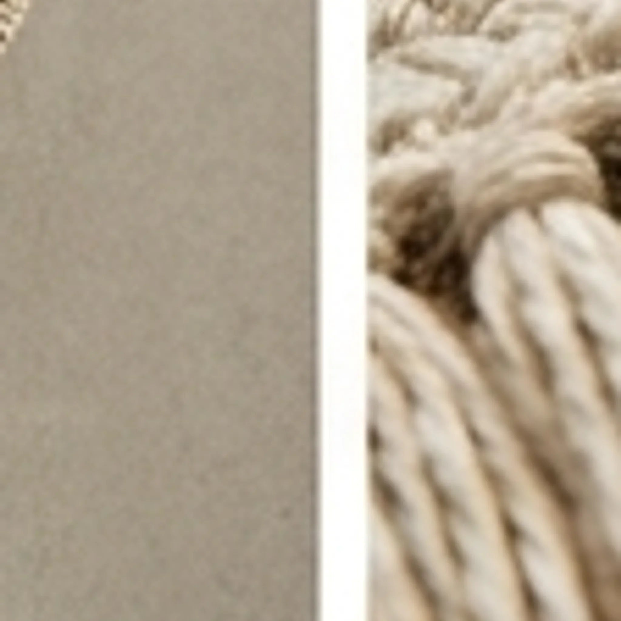 Round Wool Braided Rug — ambient room context in soft natural light