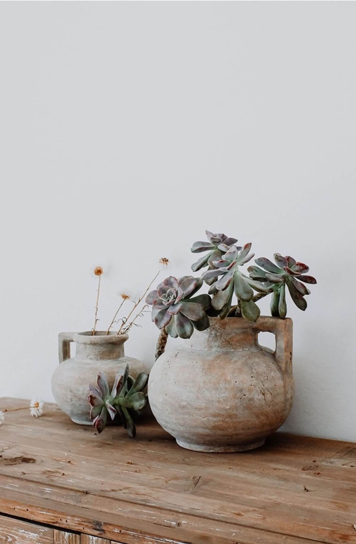 Distressed earthenware pots with succulents, antique style rustic home decor.