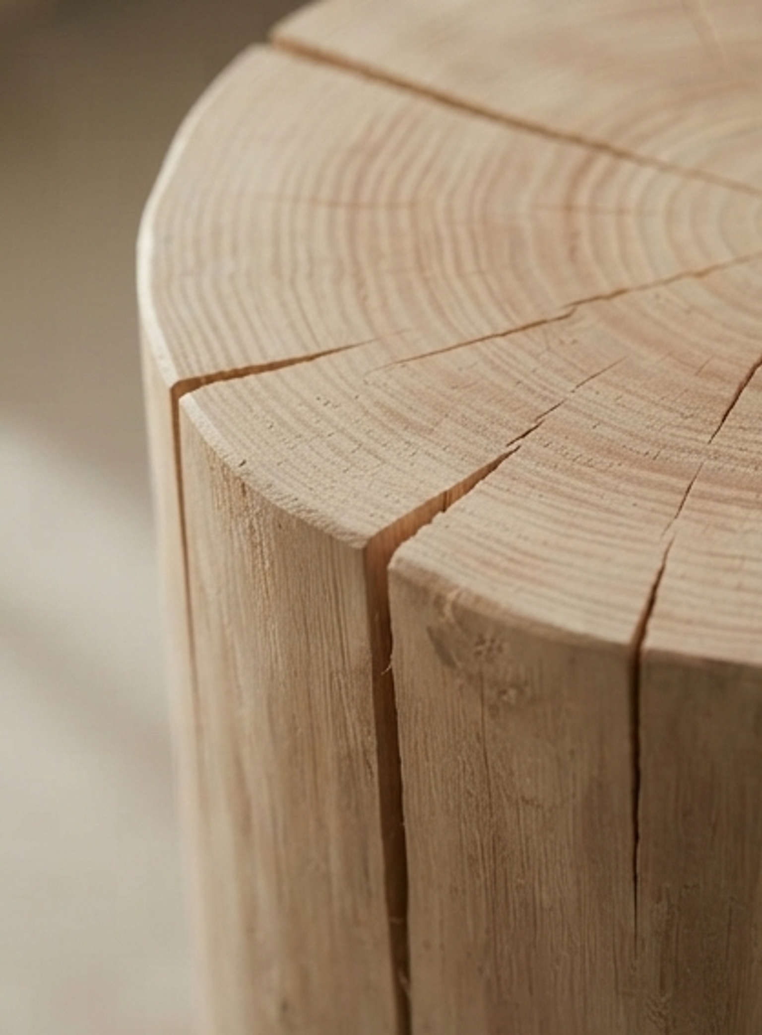 Chinese Fir stump — macro close-up of wood grain and bark edge