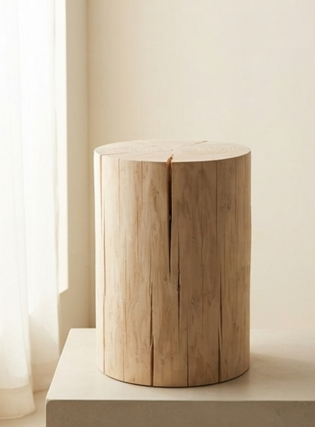 Chinese Fir stump — studio warm-white background product shot
