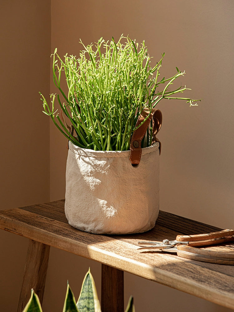Rustic canvas plant pot with leather handles, holding a green plant. Set of 3 home decor.