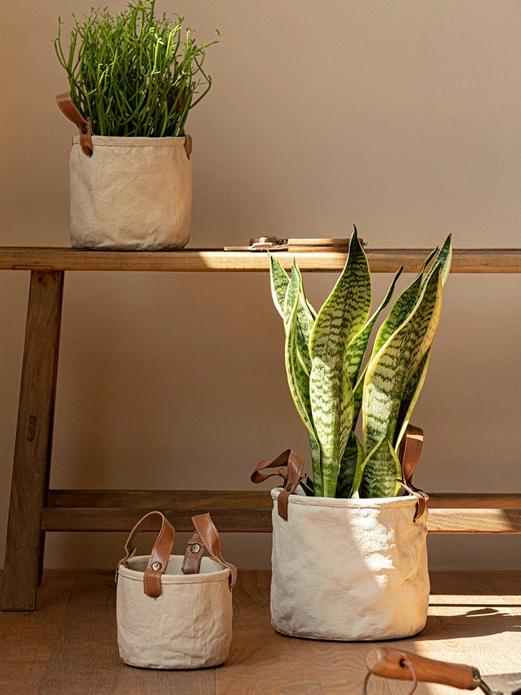 Rustic canvas plant pots with leather handles, set of 3, holding green plants.