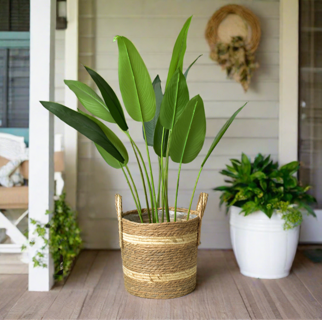 Plant Basket