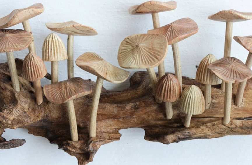 Wooden Mushroom Wall Hanging Sculpture on driftwood. Natural wood tones.