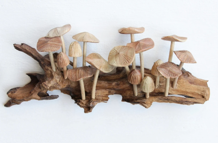 Wooden mushroom wall hanging sculpture on driftwood, natural wood tones, home decor.