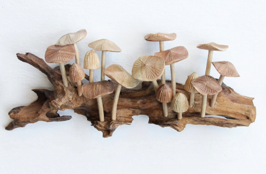  A wood carving of mushrooms on a piece of driftwood.