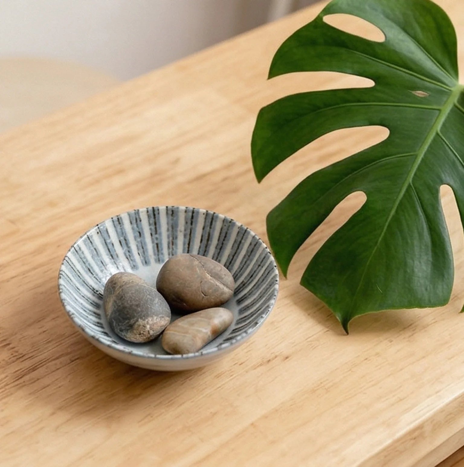 Japanese Style Ceramic Tableware Set - Shino/Wabi-sabi Bowls and Plates — scale reference alongside natural prop