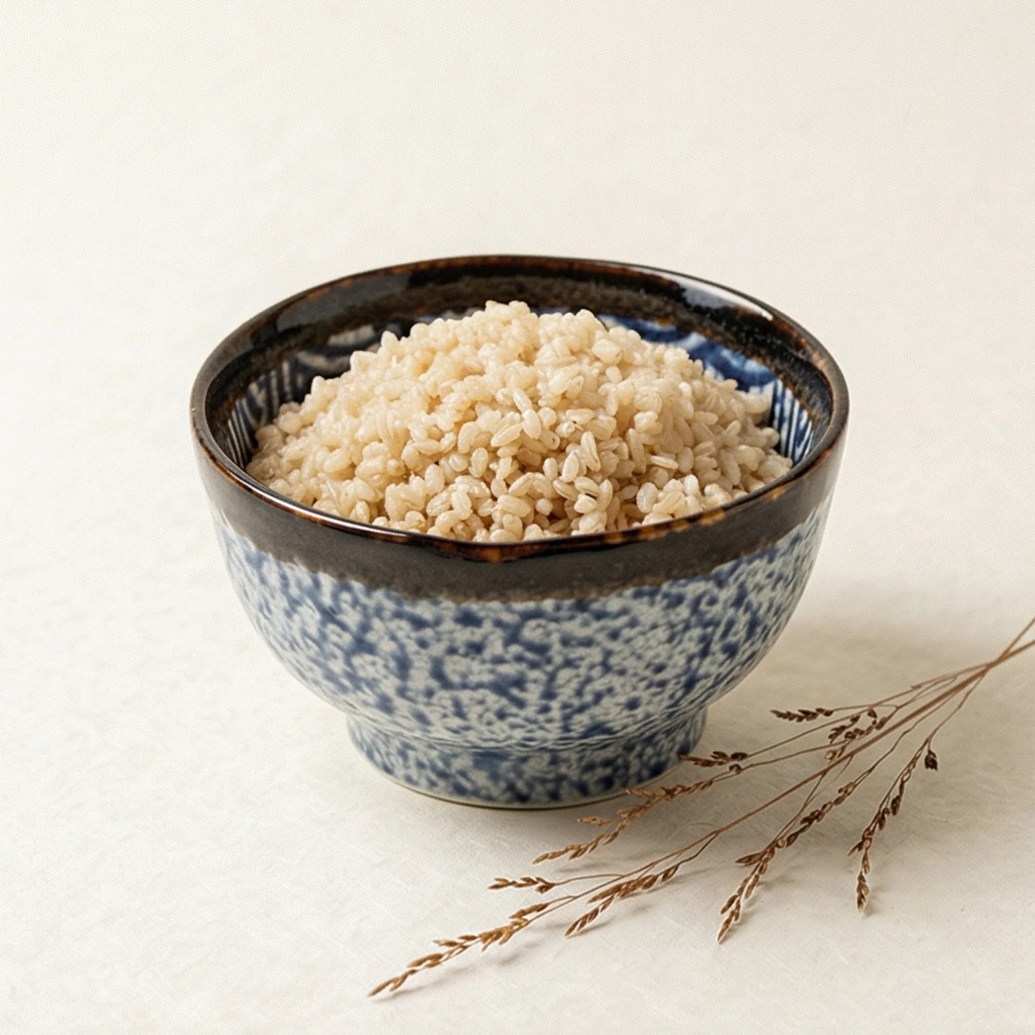 Japanese Style Ceramic Plate Bowl Set - Blue Wave Pattern Tableware — studio white background product shot