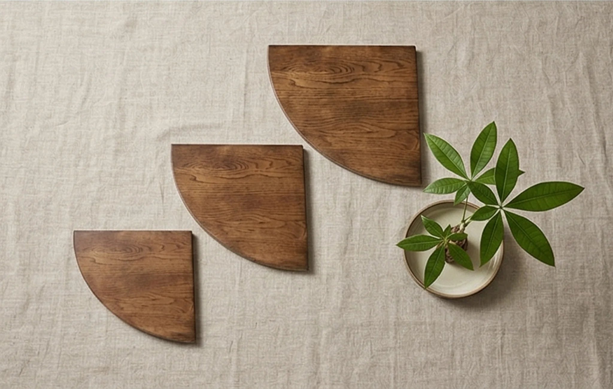 Solid Wood Corner Wall Shelf for Kitchen, Living Room, and Study — overhead architectural flat-lay with natural elements