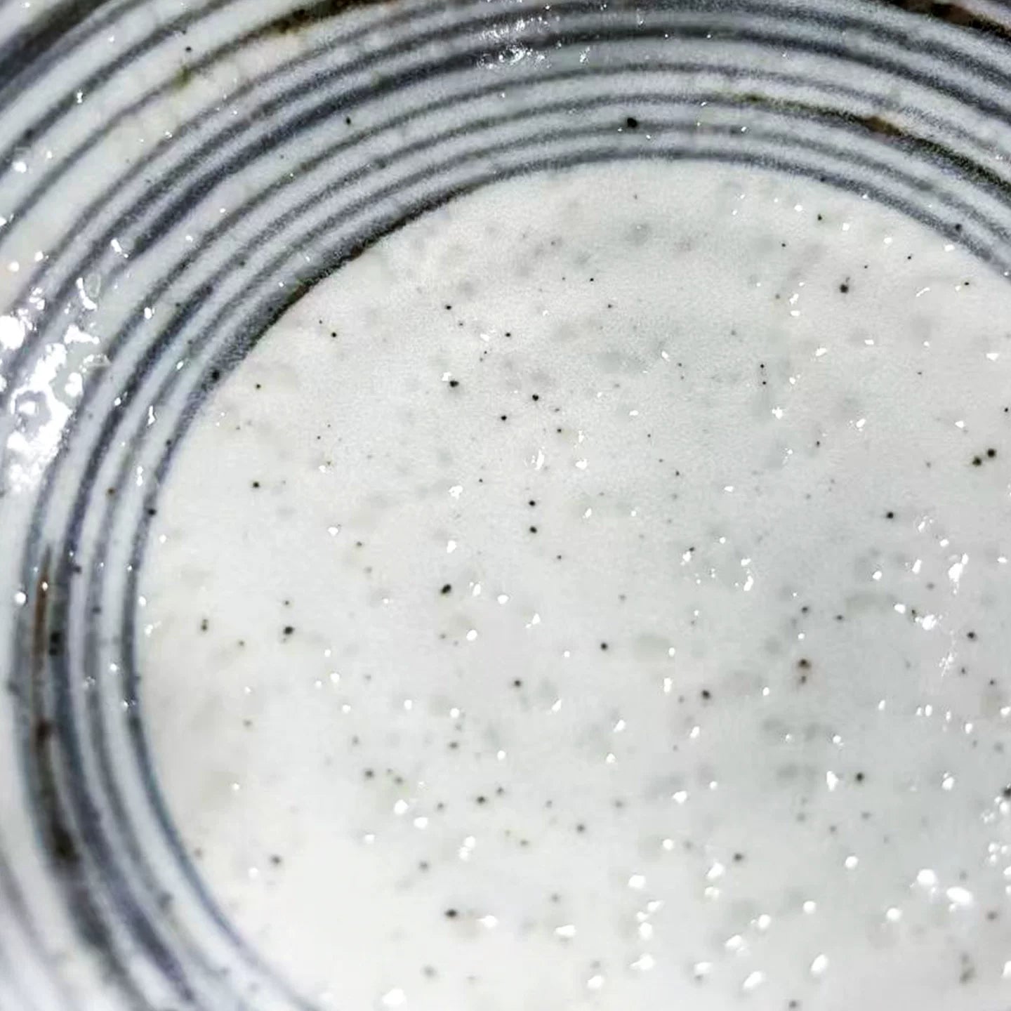 Close-up of the speckled white interior glaze of the 8.6-inch deep dish with concentric circle rim detail.