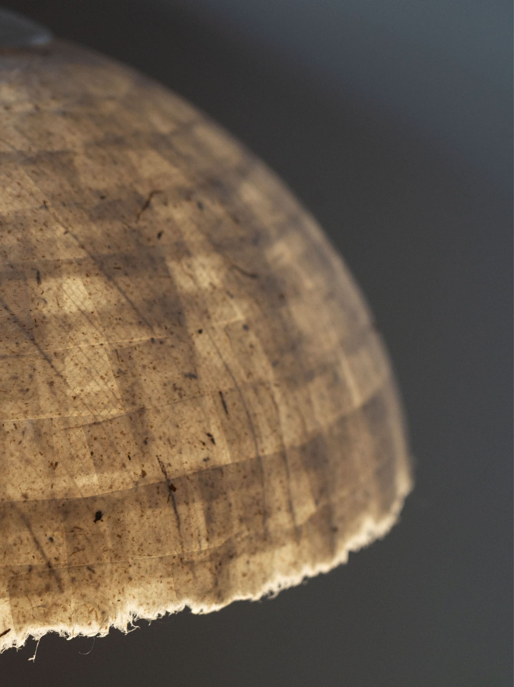 Textured tan paper mache lamp shade with fringed edge.