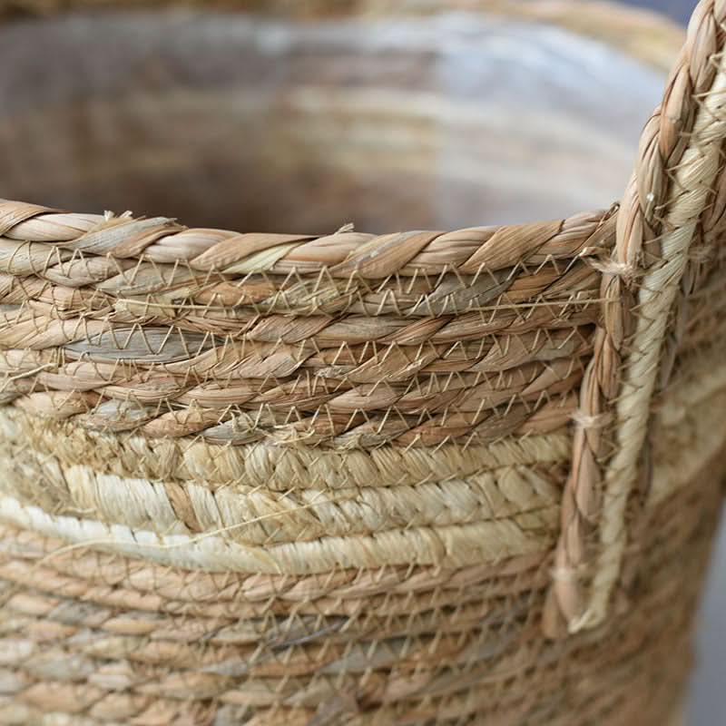 Natural woven plant basket with braided handles, perfect for home decor.