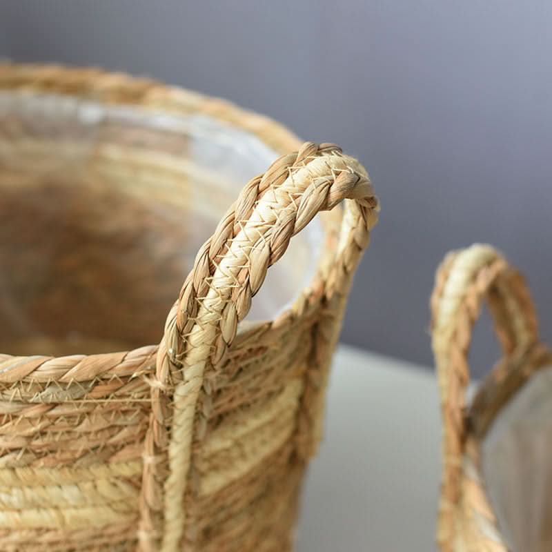Natural woven plant basket with braided handles, a charming home decor piece.