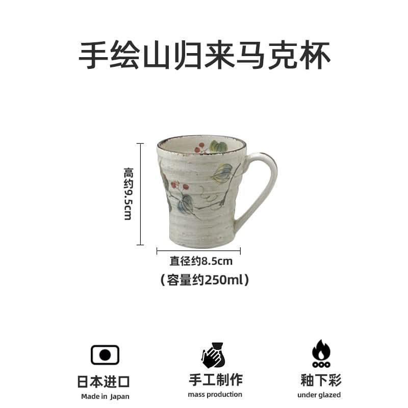 Hand-painted pottery mug with daisy floral design, imported from Japan. Home decor.