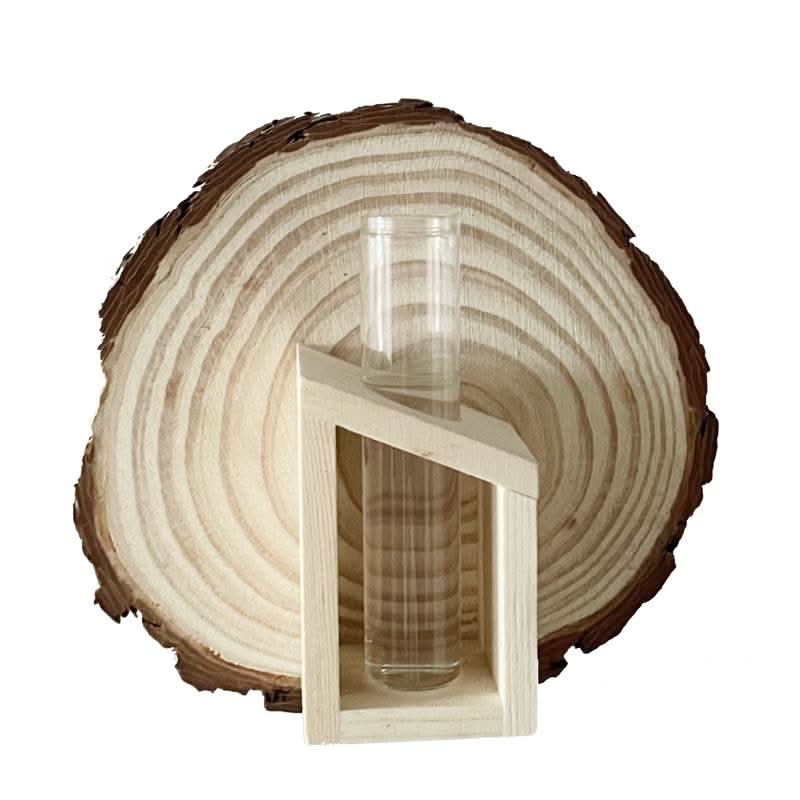 Natural wood slice Wall Plant Hanger Tree Ring with clear glass vase for home decor.
