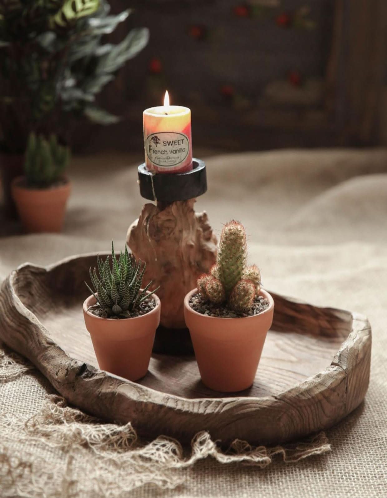 Rustic wooden distressed serving bowl with succulents and a lit candle