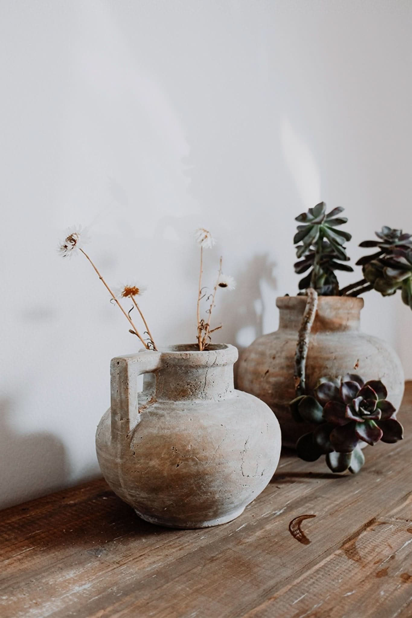 Antique Style Succulent Clay Pot: rustic earthenware with succulents on wood.