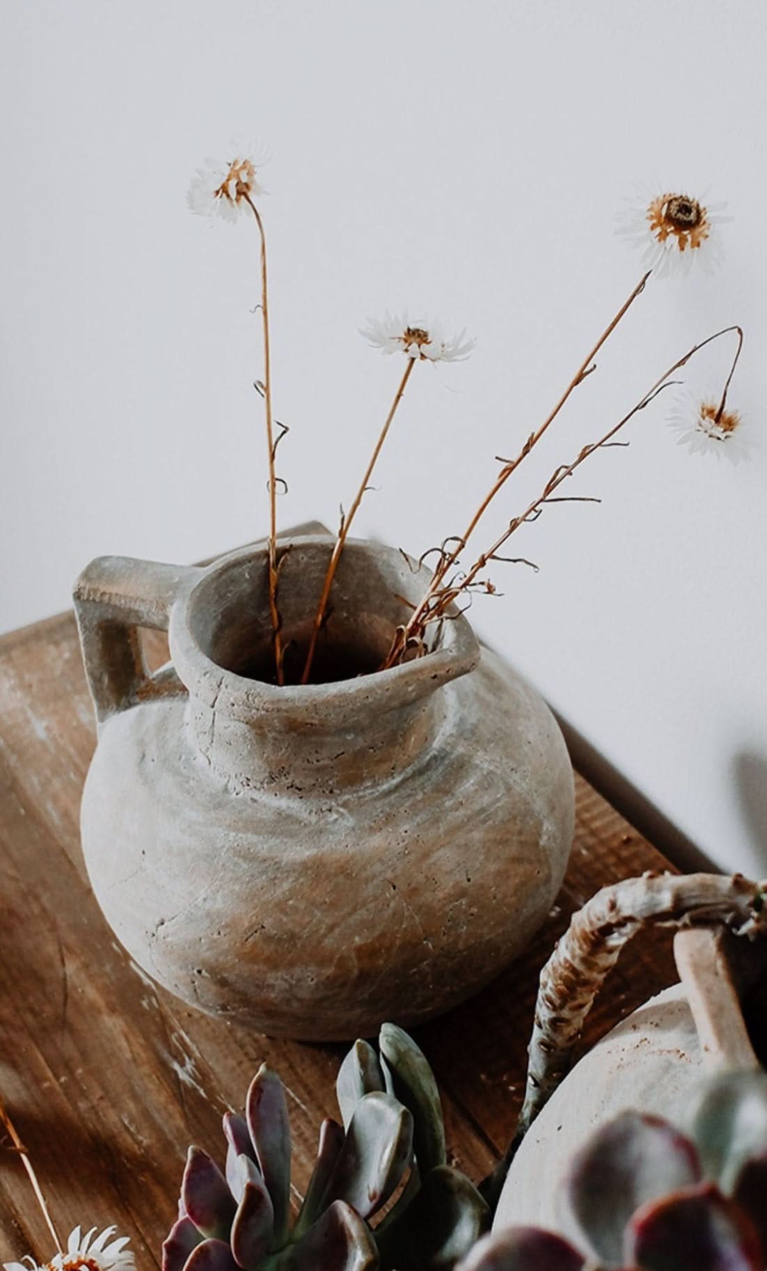 Rustic earthenware pot with dried flowers, part of antique style succulent clay pot collection.