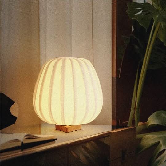Japandi table lamp with oval shape, warm glow, on a shelf with a book and plants.