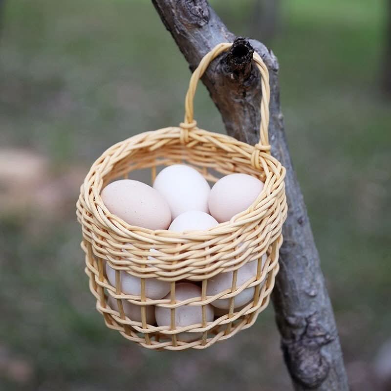 Natural wicker basket holding fresh eggs, hanging on a tree branch. Perfect Wicker Kitchen Wall Hanging Basket.