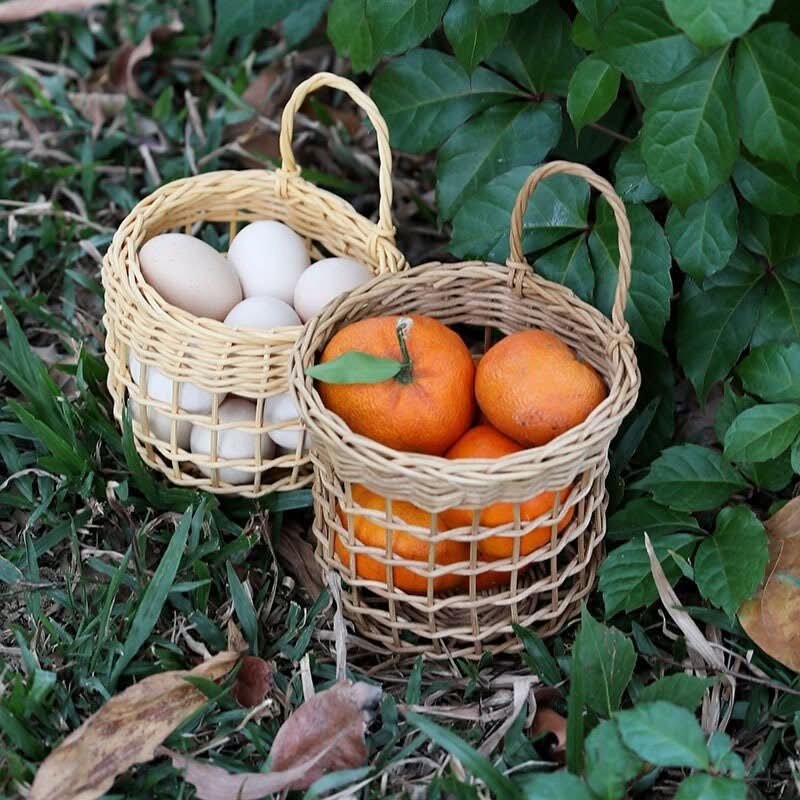 Wicker kitchen wall hanging basket with oranges and eggs, natural outdoor setting.