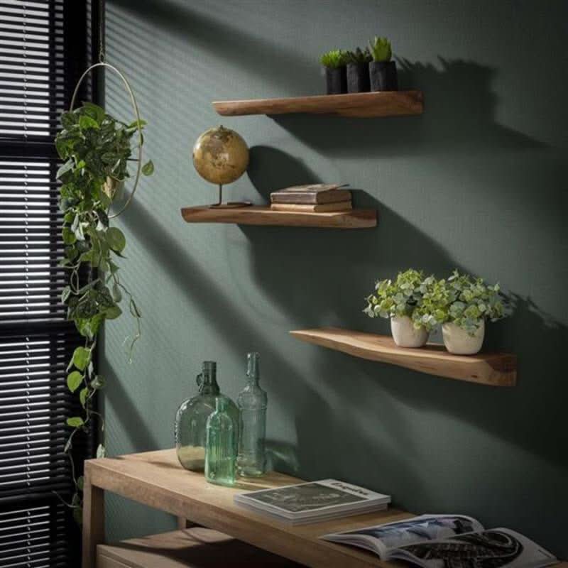 Log Live Edge Wall Hanging Shelves with globe, plants, and bottles on display
