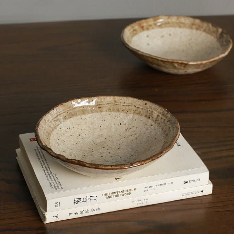 Minoyaki Irregular Ceramic Soup Bowl on books, natural speckled finish, earthy tones.