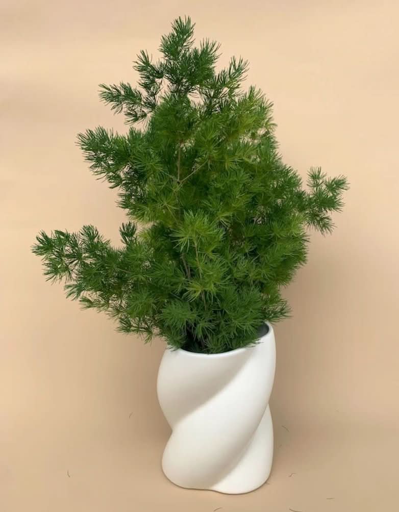 Nordic Twisted Spiral White Ceramic Vase - -