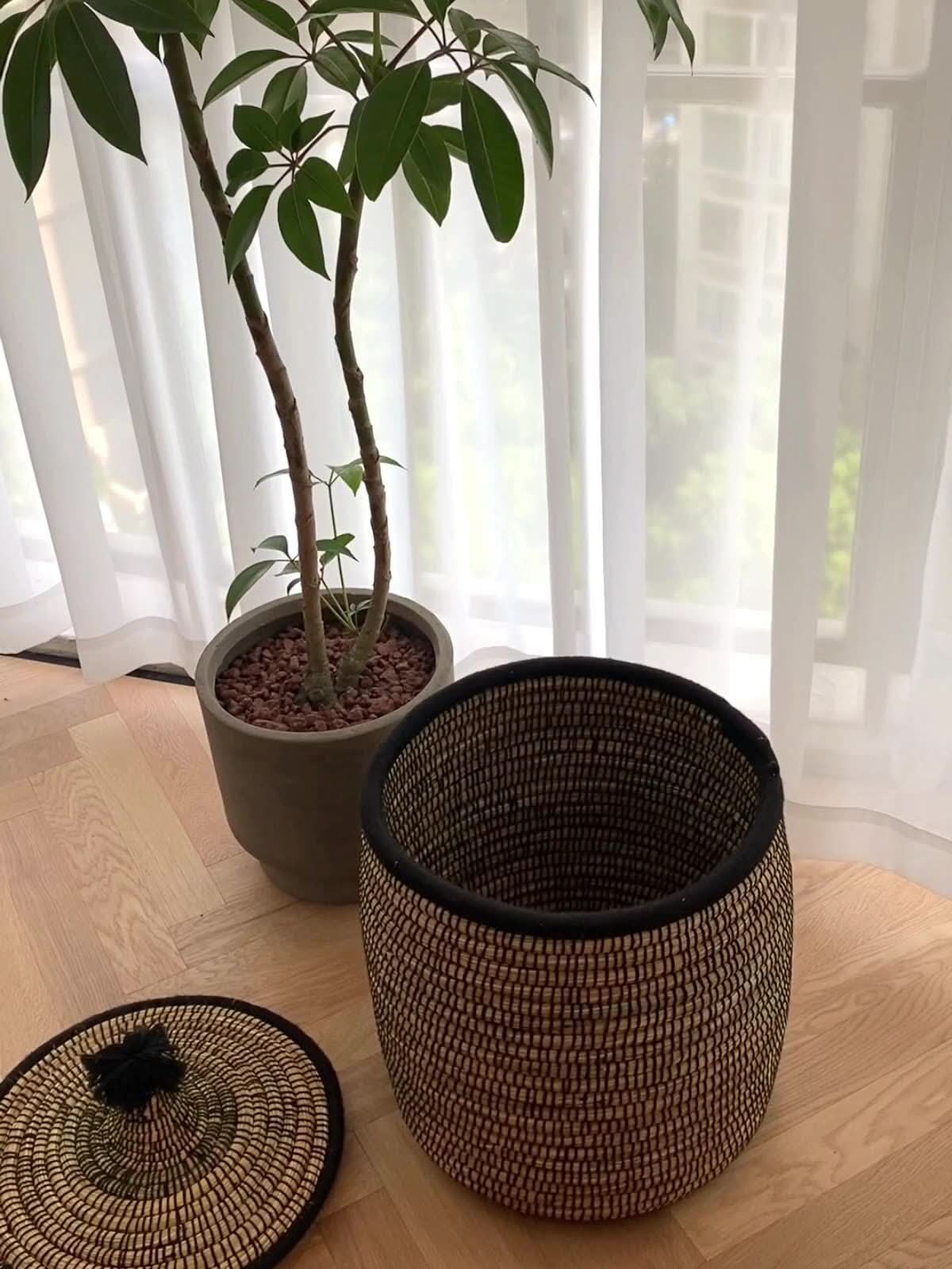 Rattan basket with lid and wool accent on wooden floor with plant and sheer curtains.
