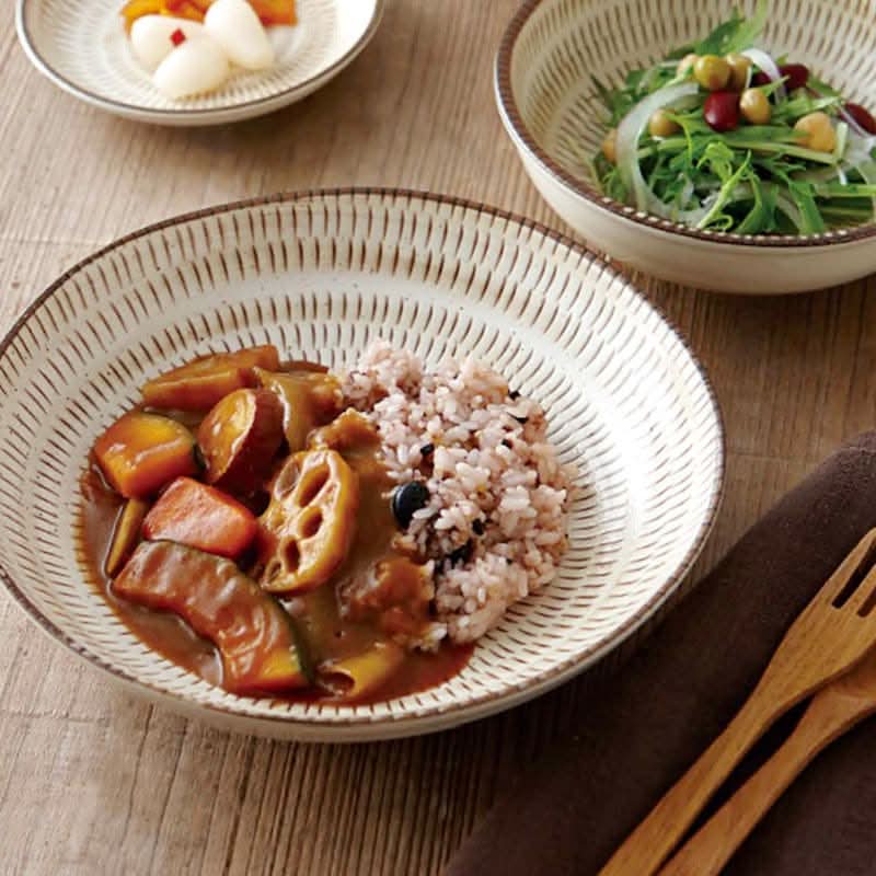 Mino Minyun Japanese-style ceramic soup plate with rice and curry, heat-resistant.
