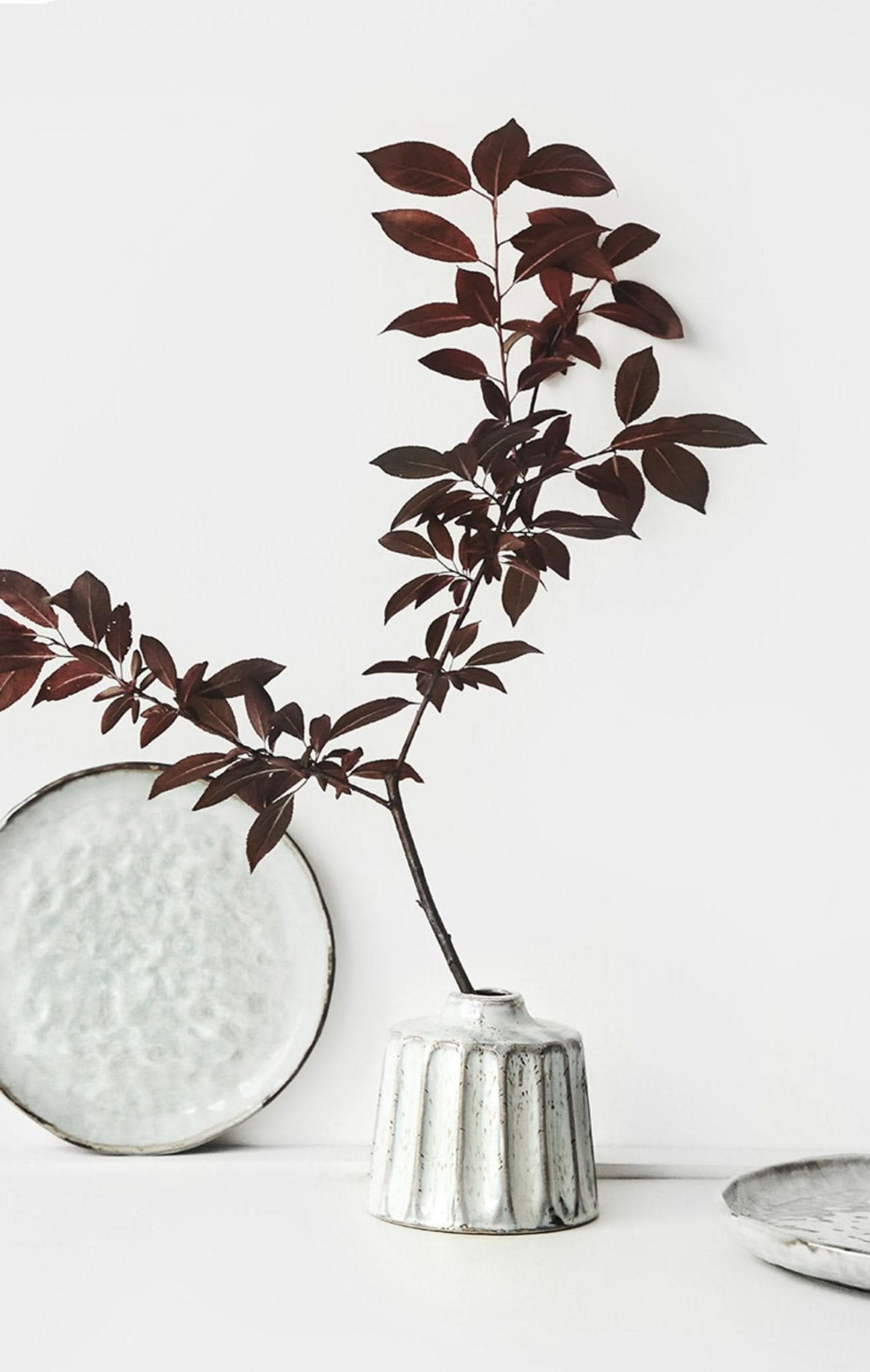 White ceramic small vase with ribbed texture, holding dark-leafed branch, on white surface.